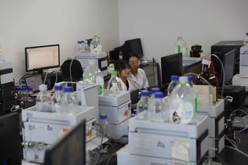 2024全国重点网络媒体龙江行丨黑龙江中医药大学重点实验室 科技创新主力军，助力新质生产力与网络科技服务融合发展